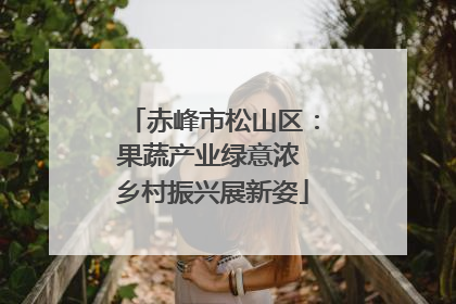 赤峰市松山区：果蔬产业绿意浓 乡村振兴展新姿