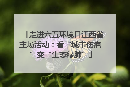 走进六五环境日江西省主场活动：看“城市伤疤”变“生态绿肺”