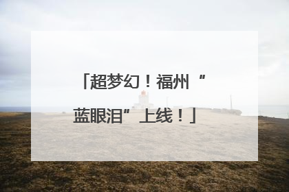 超梦幻！福州“蓝眼泪”上线！