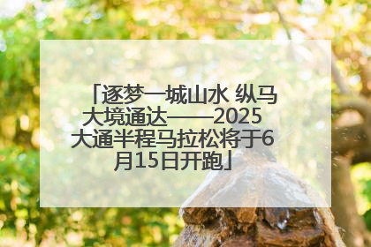 逐梦一城山水 纵马大境通达——2025大通半程马拉松将于6月15日开跑