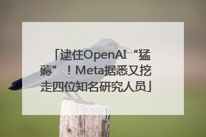 逮住OpenAI“猛薅”！Meta据悉又挖走四位知名研究人员