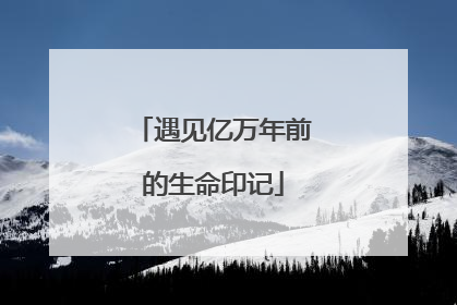 遇见亿万年前的生命印记