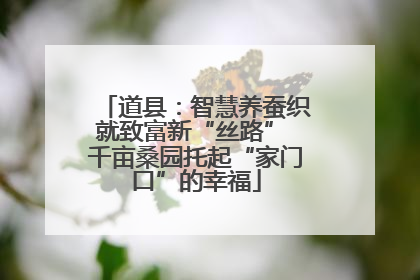 道县：智慧养蚕织就致富新“丝路” 千亩桑园托起“家门口”的幸福