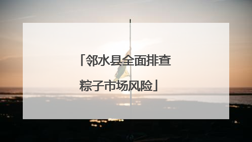 邻水县全面排查粽子市场风险
