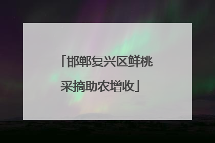 邯郸复兴区鲜桃采摘助农增收