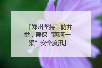 郑州坚持三防并举，确保“两河一渠”安全度汛