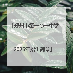 郑州市第一〇一中学2025年招生简章