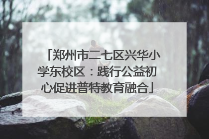郑州市二七区兴华小学东校区：践行公益初心促进普特教育融合