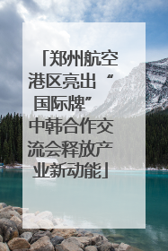郑州航空港区亮出“国际牌” 中韩合作交流会释放产业新动能