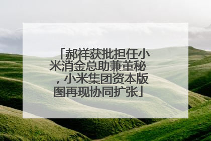 郝祥获批担任小米消金总助兼董秘，小米集团资本版图再现协同扩张