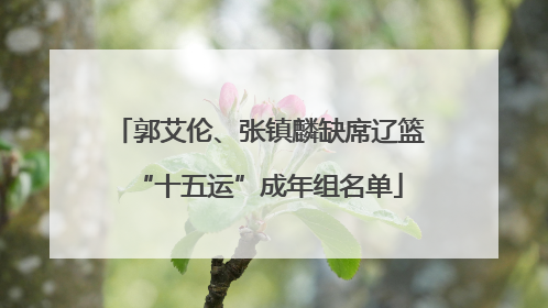 郭艾伦、张镇麟缺席辽篮“十五运”成年组名单
