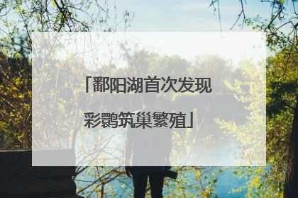 鄱阳湖首次发现彩鹮筑巢繁殖