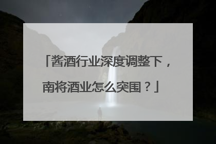 酱酒行业深度调整下，南将酒业怎么突围？