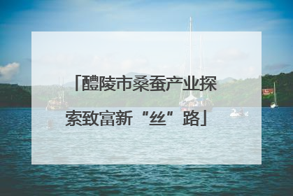 醴陵市桑蚕产业探索致富新“丝”路