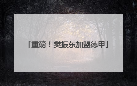 重磅！樊振东加盟德甲