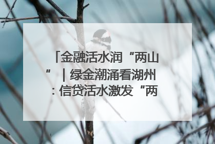 金融活水润“两山”｜绿金潮涌看湖州：信贷活水激发“两山”转化势能