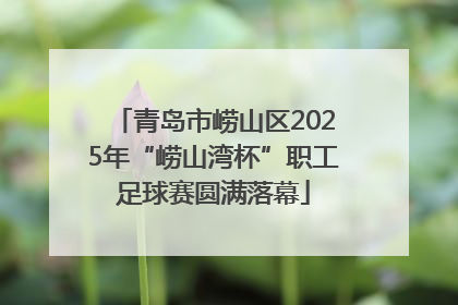 青岛市崂山区2025年“崂山湾杯”职工足球赛圆满落幕