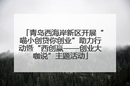 青岛西海岸新区开展“喵小创贷你创业”助力行动暨“西创赢——创业大咖说”主题活动