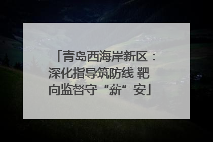 青岛西海岸新区：深化指导筑防线 靶向监督守“薪”安