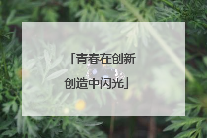 青春在创新创造中闪光