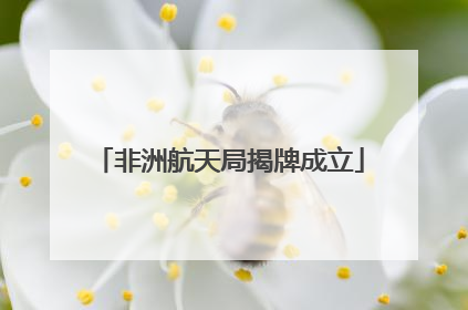 非洲航天局揭牌成立