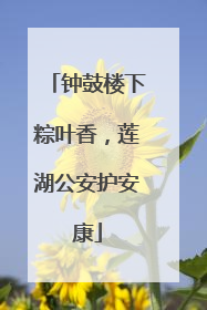 钟鼓楼下粽叶香，莲湖公安护安康