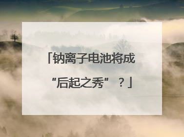 钠离子电池将成“后起之秀”？
