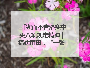 锲而不舍落实中央八项规定精神｜福建莆田：“一张表”“一张图”为基层减轻“数字负担”
