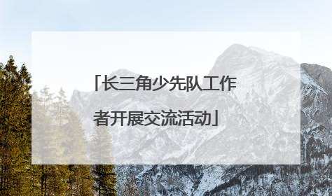 长三角少先队工作者开展交流活动