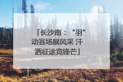 长沙南：“羽”动赛场展风采 汗洒征途竞锋芒