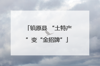 镇原县 “土特产”变“金招牌”