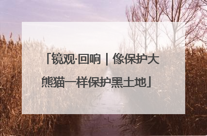 镜观·回响｜像保护大熊猫一样保护黑土地