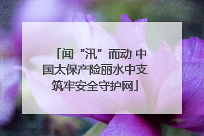 闻“汛”而动 中国太保产险丽水中支筑牢安全守护网