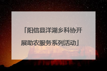 阳信县洋湖乡科协开展助农服务系列活动