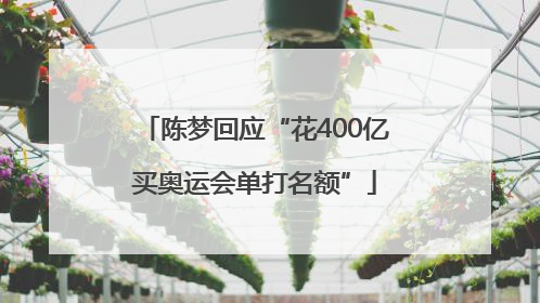 陈梦回应“花400亿买奥运会单打名额”