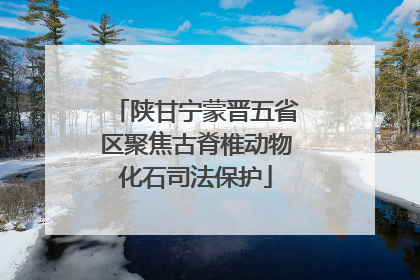 陕甘宁蒙晋五省区聚焦古脊椎动物化石司法保护