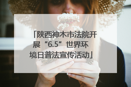 陕西神木市法院开展“6.5”世界环境日普法宣传活动