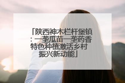 陕西神木栏杆堡镇：一垄瓜苗一垄药香 特色种植激活乡村振兴新动能