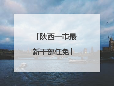 陕西一市最新干部任免