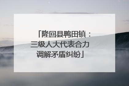 隆回县鸭田镇：三级人大代表合力调解矛盾纠纷
