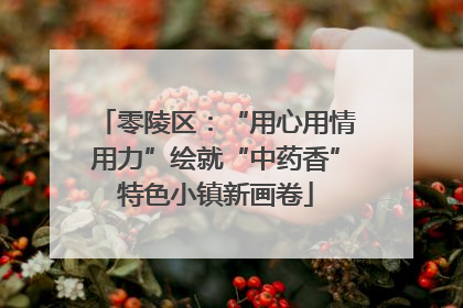 零陵区：“用心用情用力”绘就“中药香”特色小镇新画卷