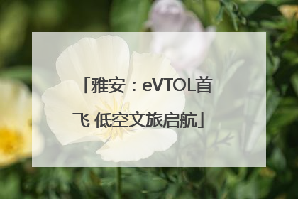 雅安：eVTOL首飞 低空文旅启航