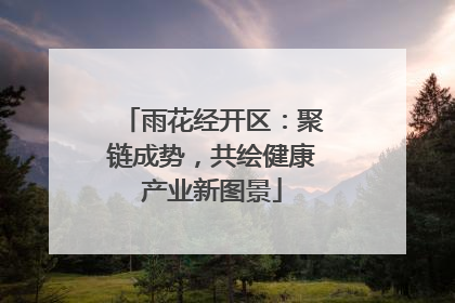 雨花经开区：聚链成势，共绘健康产业新图景