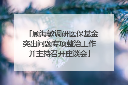 顾海敏调研医保基金突出问题专项整治工作并主持召开座谈会