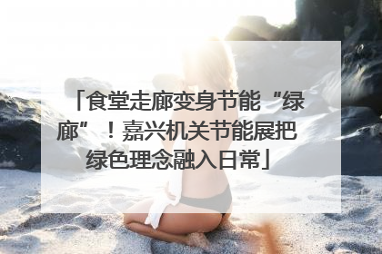 食堂走廊变身节能“绿廊”！嘉兴机关节能展把绿色理念融入日常
