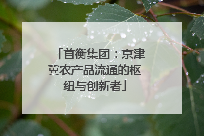 首衡集团：京津冀农产品流通的枢纽与创新者