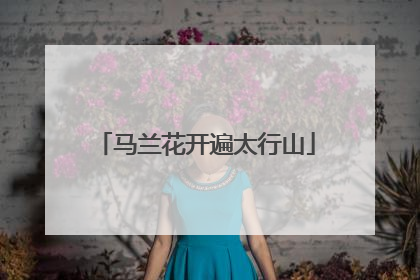 马兰花开遍太行山