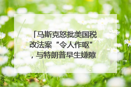马斯克怒批美国税改法案“令人作呕”，与特朗普早生嫌隙？｜国际识局