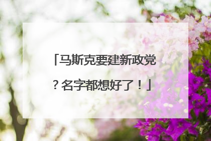 马斯克要建新政党？名字都想好了！