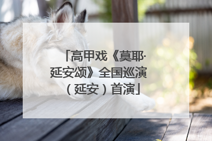 高甲戏《莫耶·延安颂》全国巡演（延安）首演